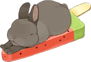 🐰 Hase, Häschen, Wassermelone, Eis am Stiel, süß, Tier, Essen whatsapp sticker
