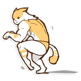 😒 gatto, animale, cartone animato, palestrato, muscolo, antropomorfo whatsapp sticker