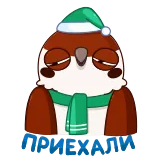 😔 cú mèo, chim, mùa đông, giáng sinh, ngày lễ, dễ thương, khăn quàng cổ, mũ telegram sticker