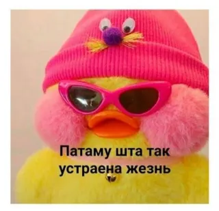 💬 Патаму шта так устроена жизнь утка, мем, русский, смешной, сленг, фраза telegram sticker