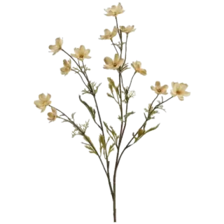 🌾 flowers, yellow, floral, plant, nature telegram sticker