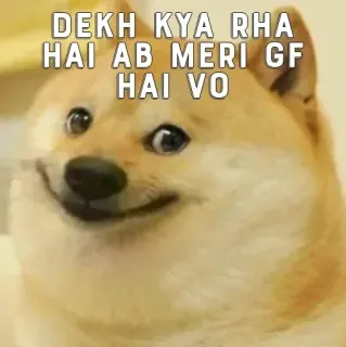 🤑 Doge Internet Meme DEKH KYA RHA HAI AB MERI GF HAI VO doge, meme, funny, dog, shiba inu, hindi meme telegram sticker