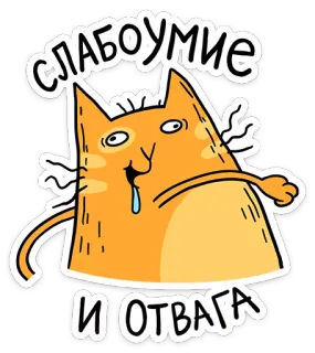 😁 СЛАБОУМИЕ И ОТВАГА gato, louco, engraçado, adesivo, humor, desenho animado, estupidez, coragem telegram sticker