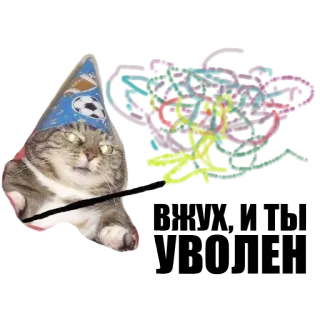 ✨ ADD kat, feesthoed, sticker, dier, grappig, schattig, cyperse kat telegram sticker