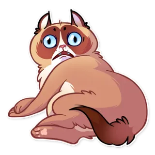 😟 gato rabugento, gato, animal, meme, adesivo whatsapp sticker