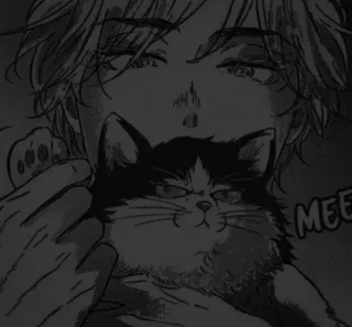 🖤 MEOW кот, животное, питомец, аниме, манга, иллюстрация telegram sticker