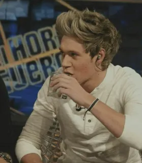 🥀 Niall Horan Niall Horan, One Direction, singer, celebrity, drinking, portrait telegram sticker