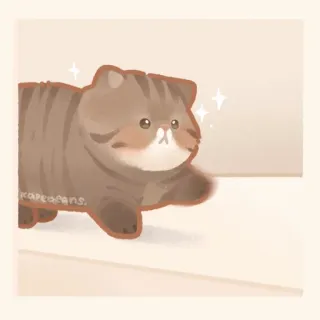 ✨ hopeafans. gato, fofo, animal, animal de estimação, doméstico, gatinho telegram sticker
