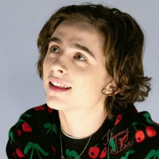 🙃 Timothée Chalamet Timmy Star ator, retrato, celebridade, Timothée Chalamet, Timmy Star telegram sticker