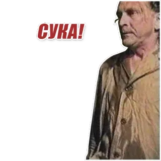 😡 СУКА! russo, slang, imprecazione, offensivo, parolaccia whatsapp sticker