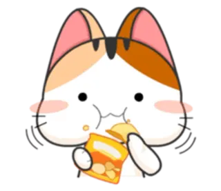 😋 cat, food, snacks, cute, adorable, animal telegram sticker