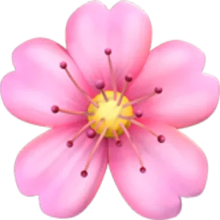 🌸 flower, cherry blossom, spring, pink, nature, floral telegram sticker