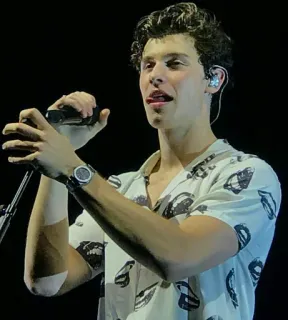 😜 Shawn Mendes singer, musician, celebrity, pop star, performer telegram sticker
