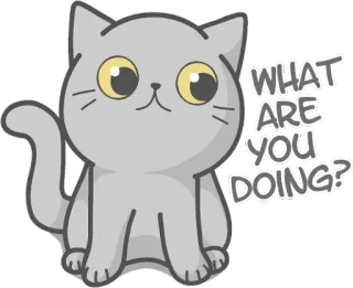 👀 WHAT ARE YOU DOING? Katze, Frage, Süß, Tier, Sticker telegram sticker