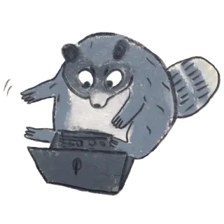 💻 procione, computer, animale, cartone animato, laptop, carino telegram sticker