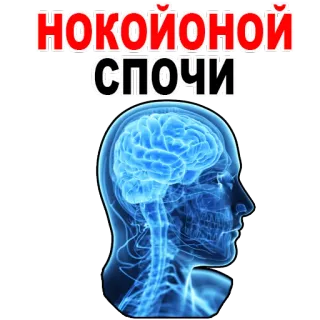 😱 НОКОЙОНОЙ
СПОЧИ brain, sleep, head, thinking, anatomy, x-ray telegram sticker