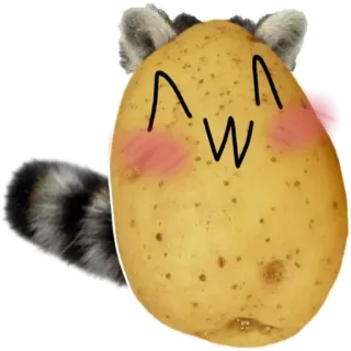 🥔 potato, raccoon, cute, kawaii, animal, hybrid, food, funny telegram sticker