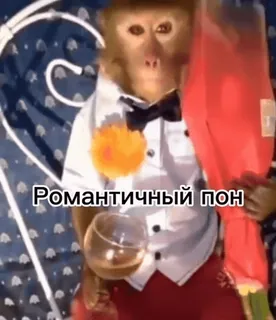 😍 Романтичный пон Affe, Smoking, Romantisch, Lustig, Süß telegram sticker