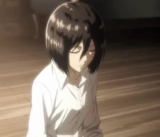 🌿 Mikasa Ackerman Attack on Titan anime, girl, mikasa, attack on titan telegram sticker