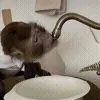 💧