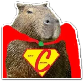 🚀 Super
Capivara Kapibara, Zwierzę, Superbohater, Zabawne telegram sticker