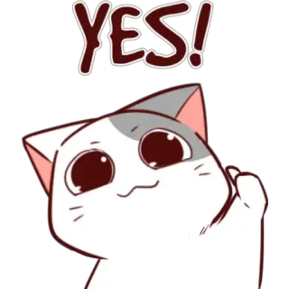 💁‍♂ YES! mèo, có, tích cực, dễ thương, đồng ý, khẳng định, vui vẻ telegram sticker