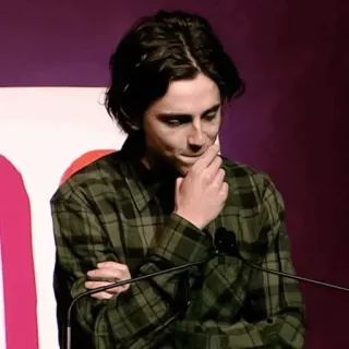 📯 personne, homme, acteur, chemise à carreaux, célébrité telegram sticker