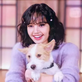🌟 Lisa lisa, chien, blackpink, idole, chanteur, kpop, mignon telegram sticker