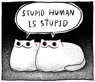 🐱 STUPID HUMAN IS STUPID gato, engraçado, animal, meme, estúpido, humano, desenho animado telegram sticker
