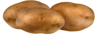 🥔 comida, patata, verdura, ingrediente, raíz telegram sticker
