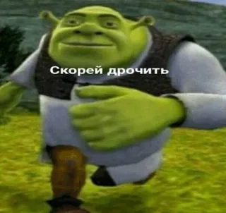 😜 Shrek Скорей дрочить meme, shrek, offensive, russian, humor, running whatsapp sticker