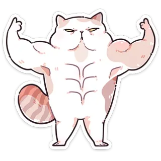 ❤️ kat, spier, sterk, schattig, grappig, dier, huisdier whatsapp sticker