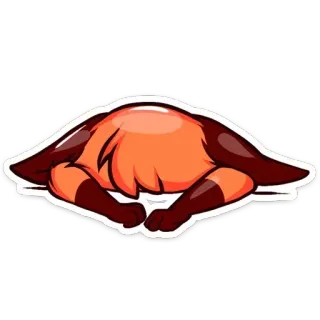 😕 lucu, binatang, rubah, kepala, sembunyi, lelucon, kartun telegram sticker