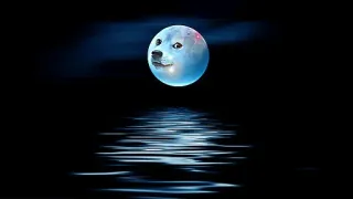 💪 Doge doge, moon, water, reflection, meme, dog, space whatsapp sticker