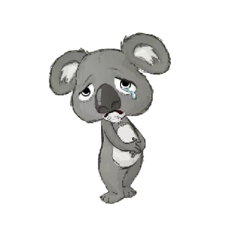 😔 koala, sad, crying, animal, cartoon, sticker telegram sticker
