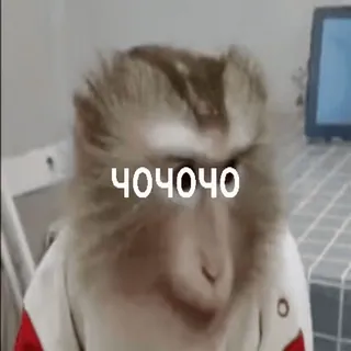 Больше стиков тут: @stikery4 telegram stickers
