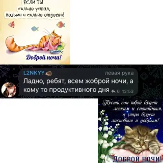 😴 ЕСЛИ ТЫ
сильно устал,
Возьми и сильно отдохни!
Доброй ночи!
L2NKYY
левая рука
Ладно, ребят, всем жоброй ночи, а
кому то продуктивного ДНЯ 6 13:53
Пусть сон твой будет
легким и спокойным.
а утро будет
ласковым и добрым!
ДОБРОЙ НОЧИ! selamat malam, kucing, tidur, istirahat, rusia telegram sticker