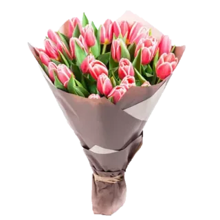 💐 цветы, букет, тюльпаны, подарок, цветочный, композиция, природа whatsapp sticker