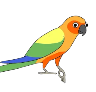 👌 นก, นกแก้ว, สัตว์, สีส้ม, สีเขียว, น่ารัก telegram sticker