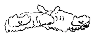 🤍 telegram sticker