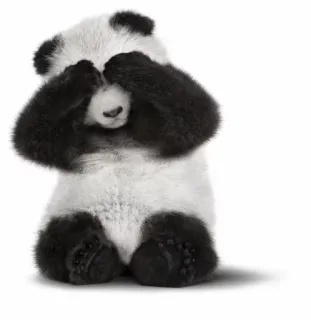 Panda @stickersb2b telegram stickers
