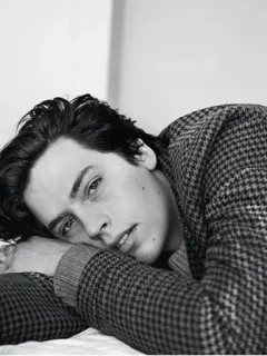 🖇 Cole Sprouse attore, ritratto, uomo, celebrità, persona telegram sticker