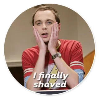 The Big Bang Theory - By Theodor telegram stickers