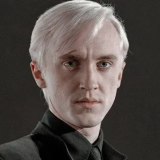 🪐 Draco Malfoy Harry Potter Draco Malfoy, Harry Potter, Tom Felton, personagem, bruxo, slytherin telegram sticker