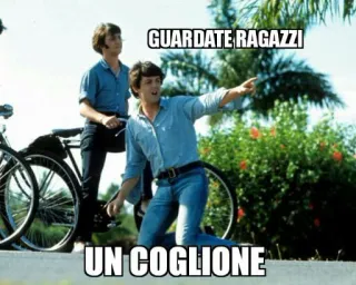 👉 GUARDATE RAGAZZI
UN COGLIONE meme, lucu, italia, hinaan telegram sticker