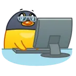 🐤