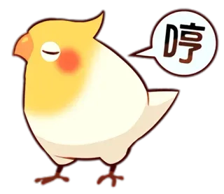 😒 停 pássaro, calopsita, fofo, animal, pare, chinês, calmo telegram sticker