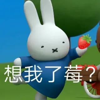 miffy 米飞 @LD_5200 telegram stickers