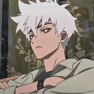 🌊 Anime, Desenho animado, Mangá, Personagem, Cabelo Branco, Menino telegram sticker