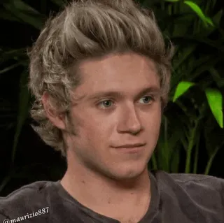✨ Niall Horan ไนออล ฮอแรน, นักร้อง, วันไดเรกชัน, คนดัง, ผู้ชาย, หล่อ telegram sticker